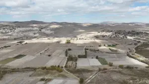 1030 m2 SATILIK TARLA