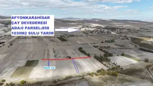 1030 m2 SATILIK TARLA